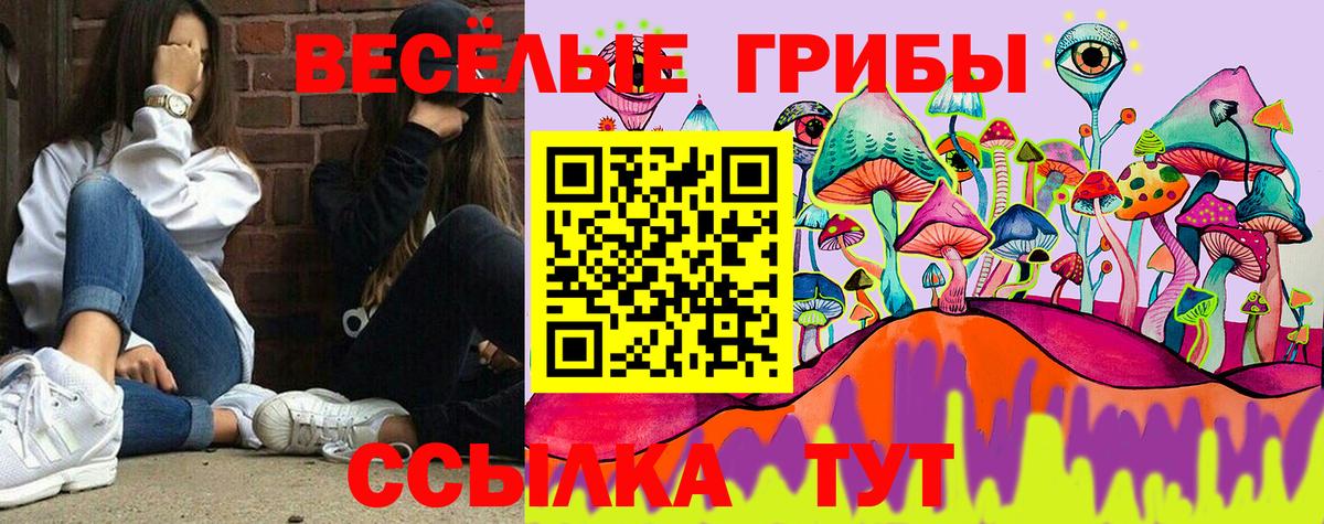Арсеньев  Псилоцибиновые грибы Psilocybine cubensis  Вход с VPN 